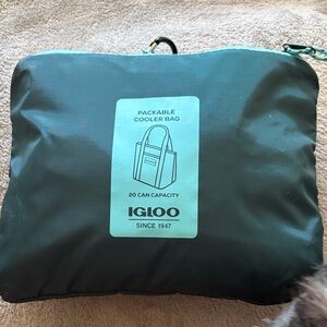 Igloo Blue and Aqua Cooler Bag